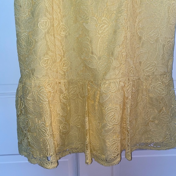 BB Dakota Crochet Overlay Dress - Picture 3 of 6